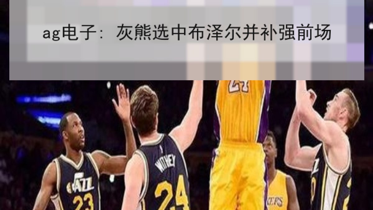 ag电子: 灰熊选中布泽尔并补强前场